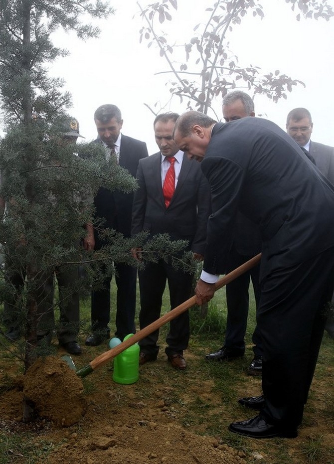 Erdoğan'ın Başına Keklik Kondu 2
