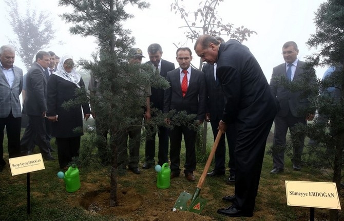 Erdoğan'ın Başına Keklik Kondu 3
