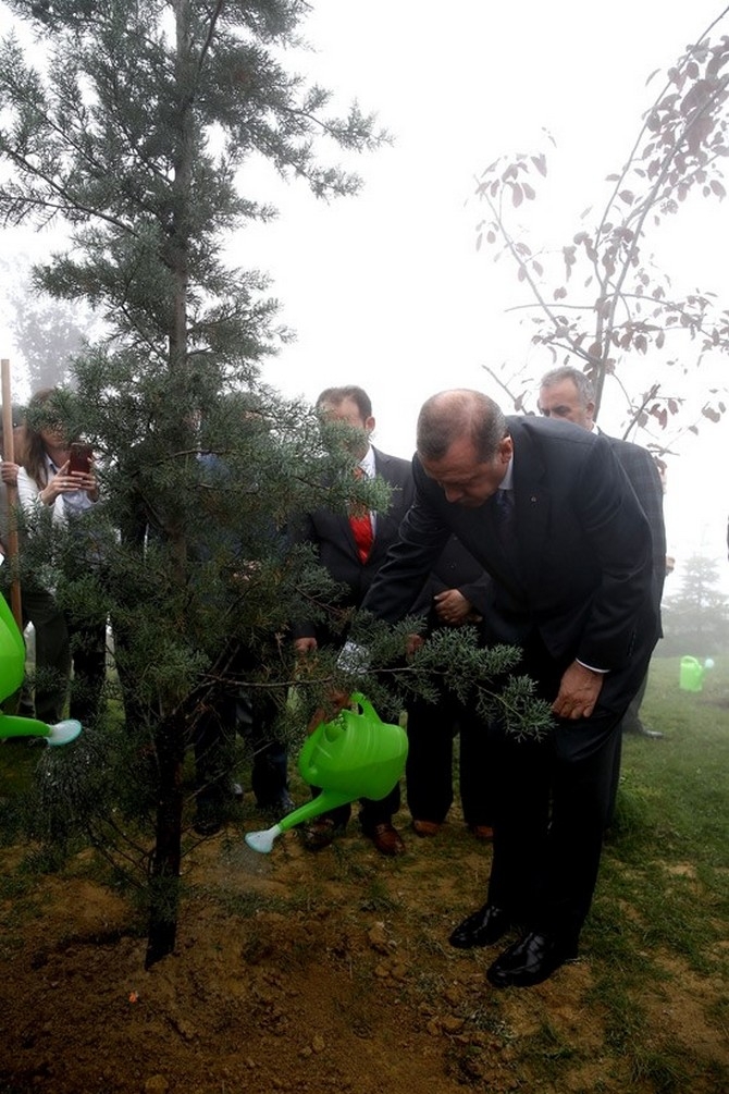 Erdoğan'ın Başına Keklik Kondu 4