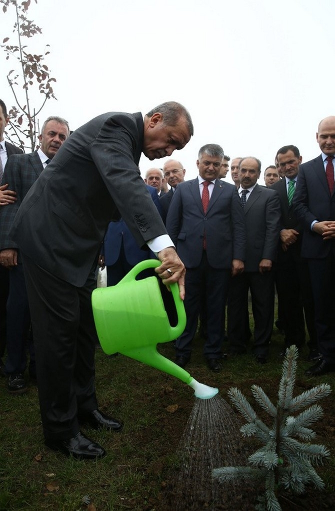 Erdoğan'ın Başına Keklik Kondu 6