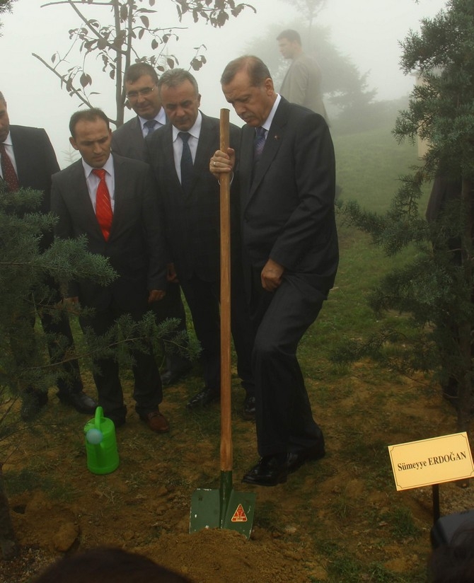 Erdoğan'ın Başına Keklik Kondu 7
