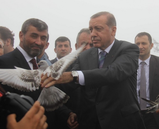 Erdoğan'ın Başına Keklik Kondu 8