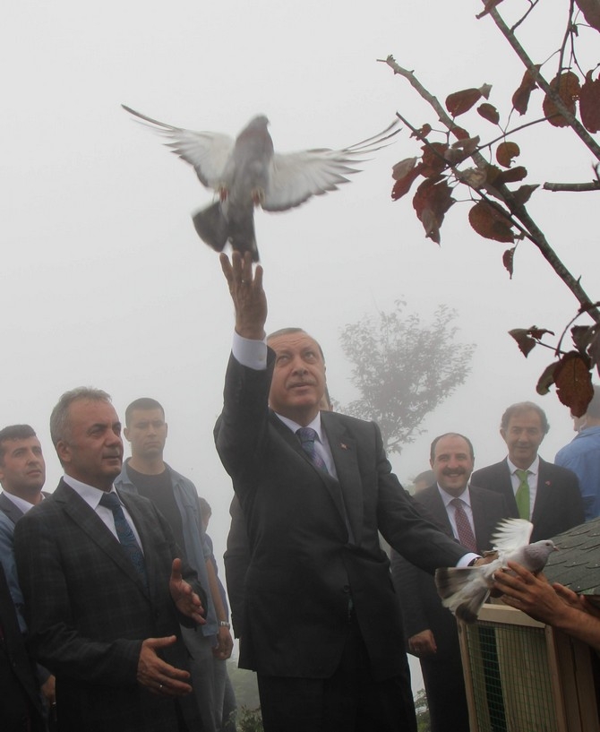 Erdoğan'ın Başına Keklik Kondu 9