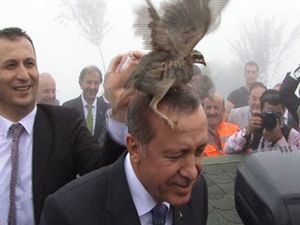 Erdoğan'ın Başına Keklik Kondu