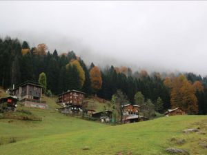 Ayder Yaylası'nda sonbahar