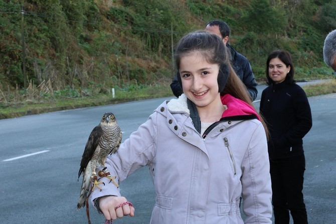 Rize'de 40 atmaca doğaya bırakıldı 6