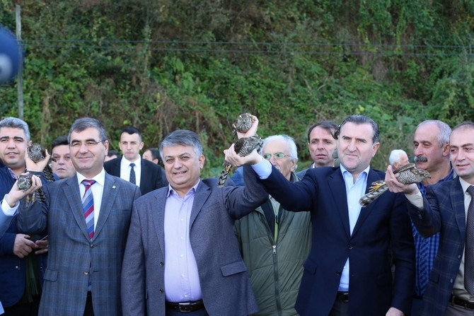 Rize'de 40 atmaca doğaya bırakıldı 8