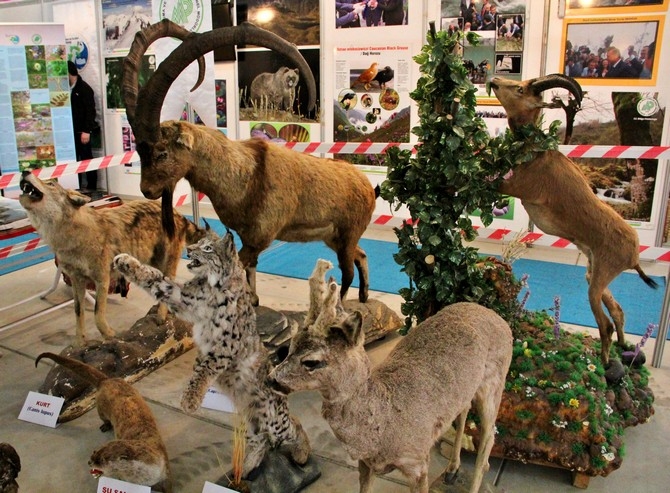 İstanbul’da Rize Rüzgarı 25