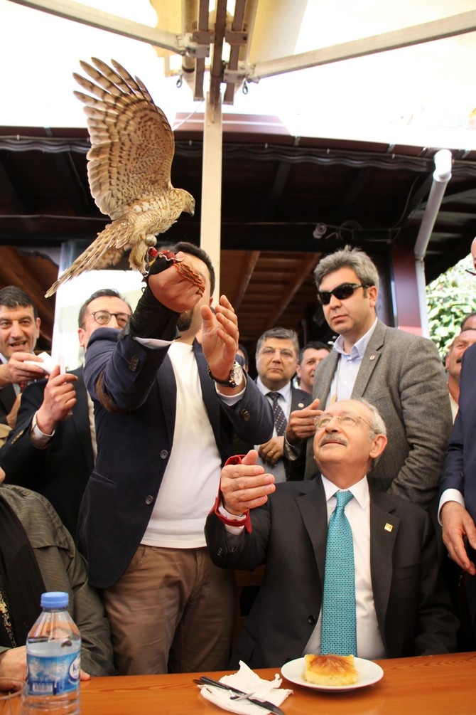 CHP Genel Başkanı Kılıçdaroğlu Rize’de 44