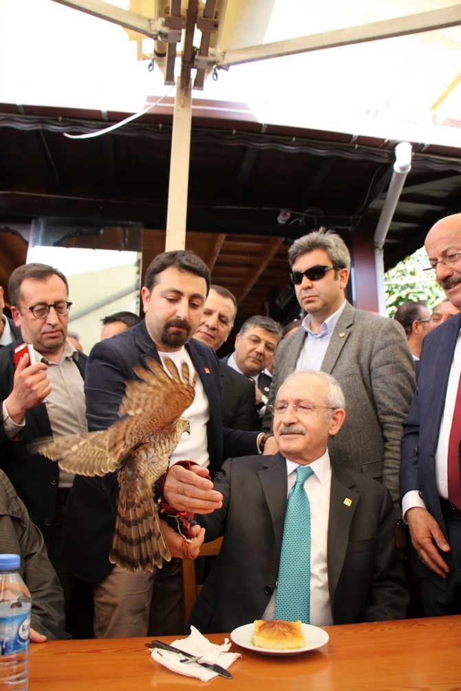 CHP Genel Başkanı Kılıçdaroğlu Rize’de 45