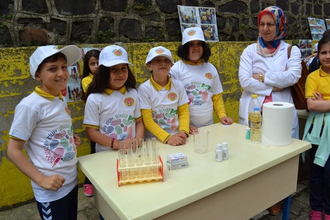 Doğuş Çay İlkokulu'nda Bilim Şenliğinde Renkli Görüntüler 15
