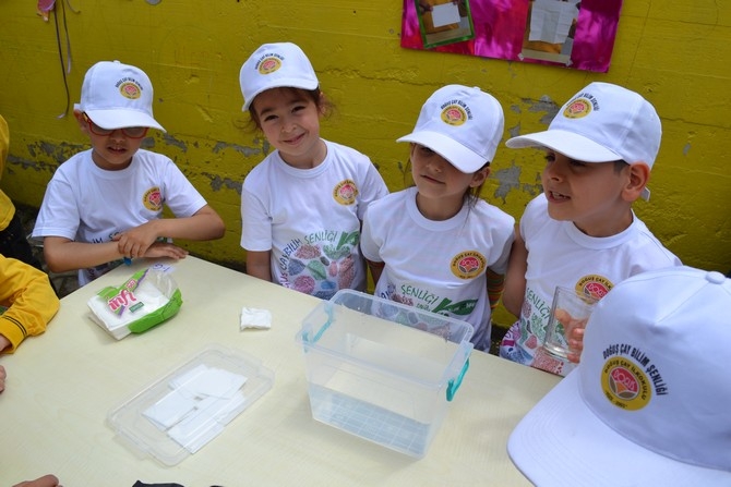 Doğuş Çay İlkokulu'nda Bilim Şenliğinde Renkli Görüntüler 36