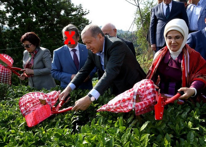 Cumhurbaşkanı Erdoğan, Çay Bahçesine Girdi Çay Kesti 10