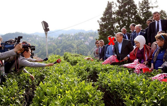 Cumhurbaşkanı Erdoğan, Çay Bahçesine Girdi Çay Kesti 12