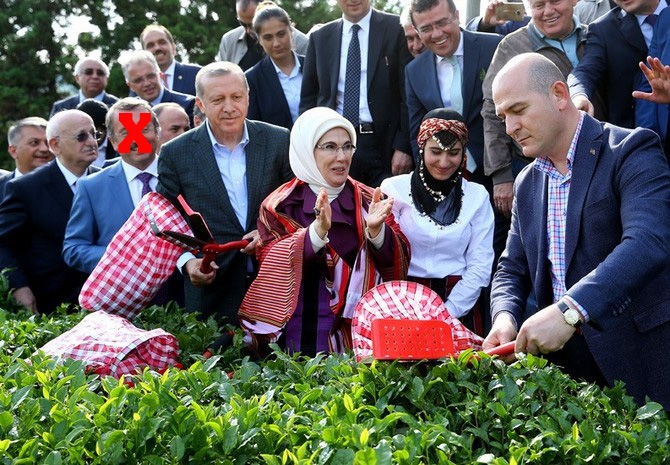 Cumhurbaşkanı Erdoğan, Çay Bahçesine Girdi Çay Kesti 13