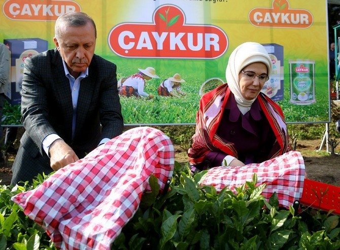 Cumhurbaşkanı Erdoğan, Çay Bahçesine Girdi Çay Kesti 18