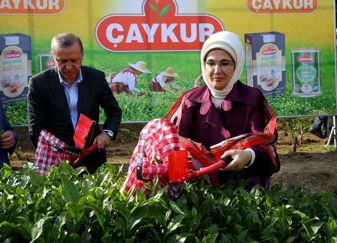Cumhurbaşkanı Erdoğan, Çay Bahçesine Girdi Çay Kesti 19