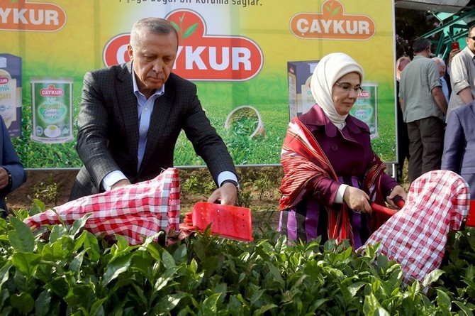 Cumhurbaşkanı Erdoğan, Çay Bahçesine Girdi Çay Kesti 20
