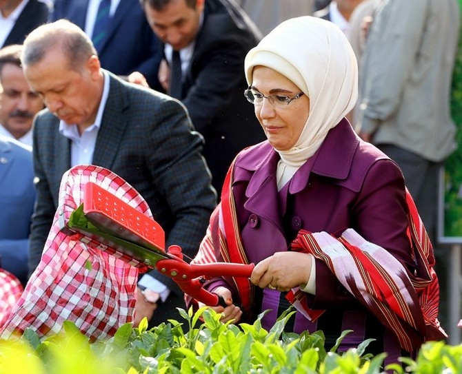 Cumhurbaşkanı Erdoğan, Çay Bahçesine Girdi Çay Kesti 22