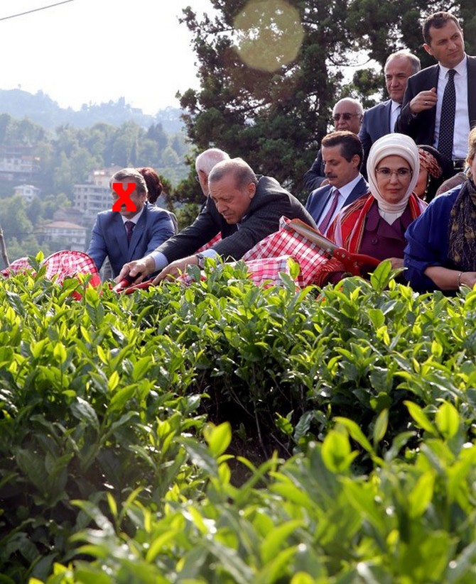 Cumhurbaşkanı Erdoğan, Çay Bahçesine Girdi Çay Kesti 23