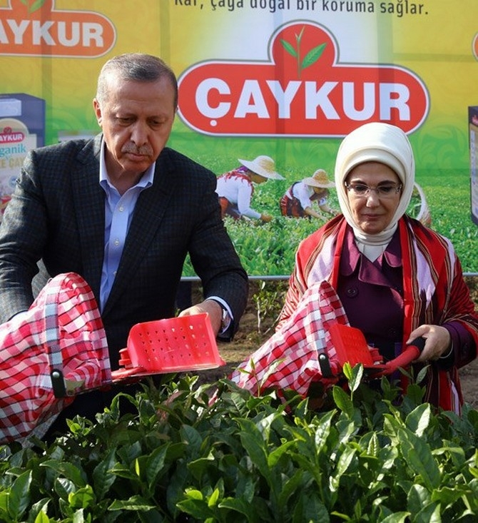Cumhurbaşkanı Erdoğan, Çay Bahçesine Girdi Çay Kesti 26