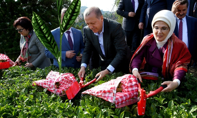 Cumhurbaşkanı Erdoğan, Çay Bahçesine Girdi Çay Kesti 3