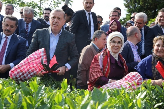 Cumhurbaşkanı Erdoğan, Çay Bahçesine Girdi Çay Kesti 33