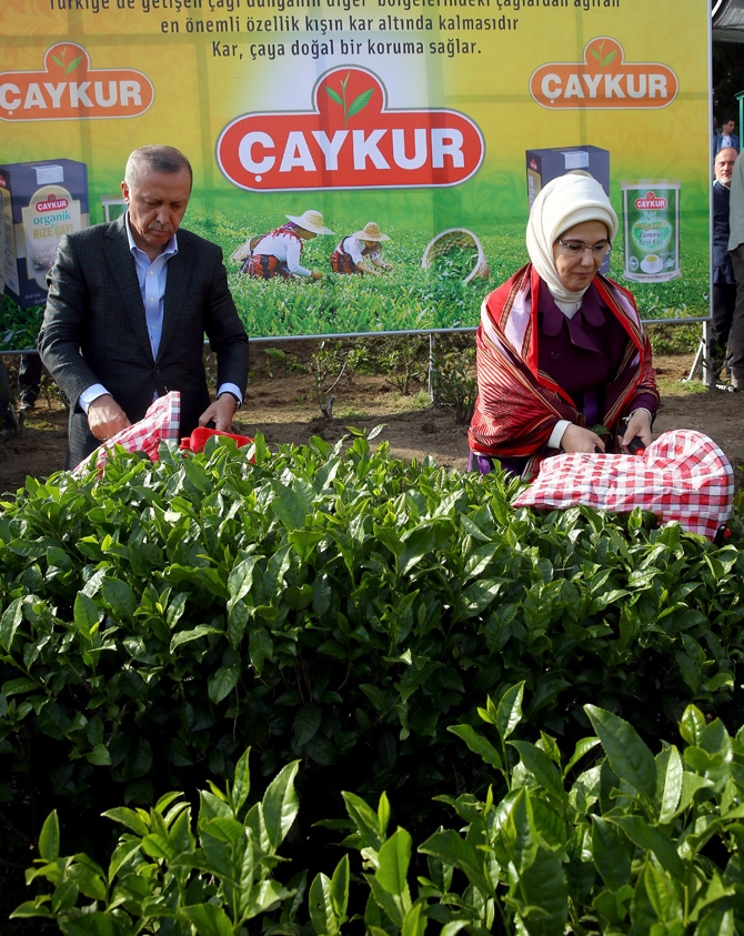 Cumhurbaşkanı Erdoğan, Çay Bahçesine Girdi Çay Kesti 6