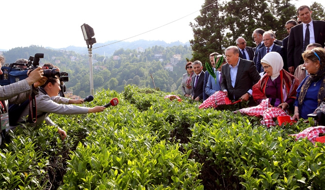 Cumhurbaşkanı Erdoğan, Çay Bahçesine Girdi Çay Kesti 7