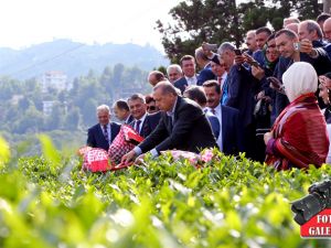 Cumhurbaşkanı Erdoğan, Çay Bahçesine Girdi Çay Kesti