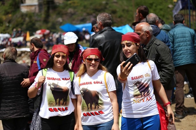 Ayder’de Boğa Festivali Gergin Geçti 22