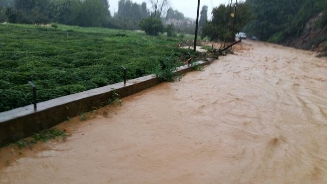 Rize'de Şiddetli Yağış 3 İlçeyi Felç Etti ! 14