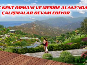 Isırlık Kent Ormanı ve Mesire Alanında Çalışmalar Sürüyor