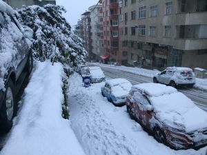 Rize'de Kar Yağışı Şehir Merkezinde Etkili Oluyor