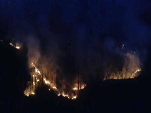 Rize’de Orman Yangını