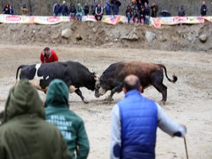 Ayder Kültür Sanat ve Doğa Festivalinde Heyecanlı Anlar