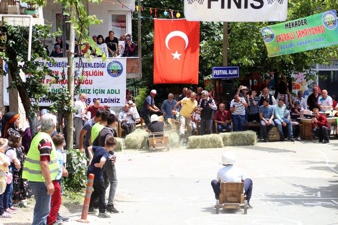 Rize'de "Laz Ralli" tahta araba şenliği 11