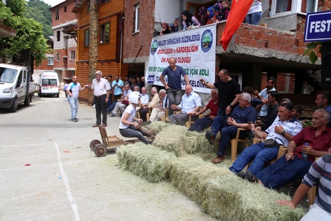 Rize'de "Laz Ralli" tahta araba şenliği 12