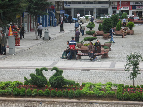 Rize Fotoğrafları 10