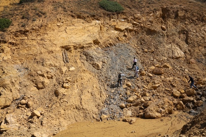 Türkiye'de ilk kez "doğal kehribar" tespit edilen saha in 1