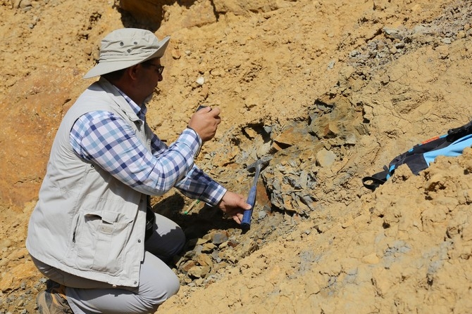 Türkiye'de ilk kez "doğal kehribar" tespit edilen saha in 18