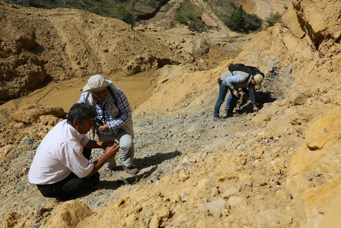 Türkiye'de ilk kez "doğal kehribar" tespit edilen saha in 4