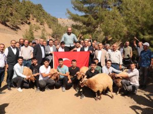 Şampiyon Pehlivanlar Omuzlarla Taşındı, Koçlar Kesildi