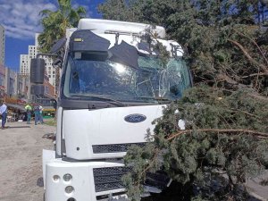 Esenyurt’ta Freni Boşalan Kamyonet Dehşet Saçtı: 2 Yaralı