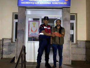 Yaralı Atmacaya Jandarma Sahip Çıktı