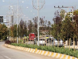 Van Büyükşehir Belediyesinden Ağaç Dikimi