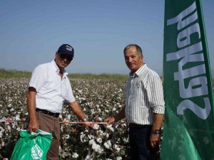 Hektaş’ın Yeni Pamuk Tohumu Egeli Çiftçilere Tanıtıldı