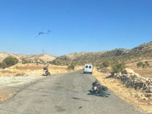 Gercüş’te Motosiklet İle Otomobil Çarpıştı: 1 Yaralı