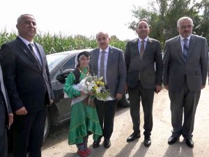 Bafra Ovası’nda “8. Çeltik Hasat Şenliği”