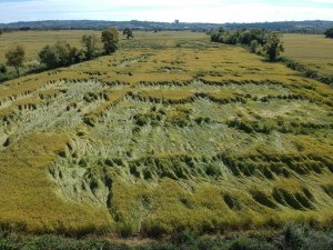 Sinop’ta Fırtına, Tarım Arazilerine Zarar Verdi